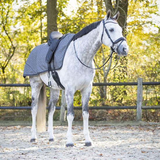 Shires Equi-Flector - Drap D'exercice Réfléchissant Jaune En Maille L Ger L 320808