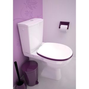 1 Pc Toilettes à Double Chasse 38mm Galvanoplastie Réservoir D'eau Bouton-Poussoir  pour Salle De Douche RESERVOIR WC - Cdiscount Bricolage