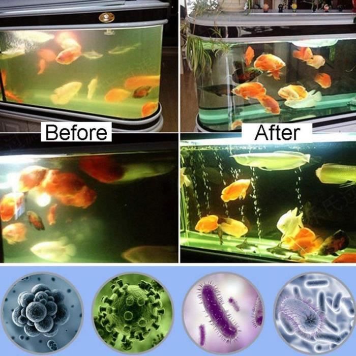 Drfeify Filtre à algues Matériau filtrant d'aquarium, filtre d