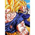 Poster Affiche Goku Vegeta Combat Super Sayan Dbz Manga Dragon Ball Z Dbz(30x42cmB)-0