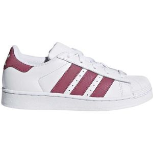 superstar slip on 2014 enfant