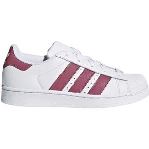 superstar metal toe enfant marron