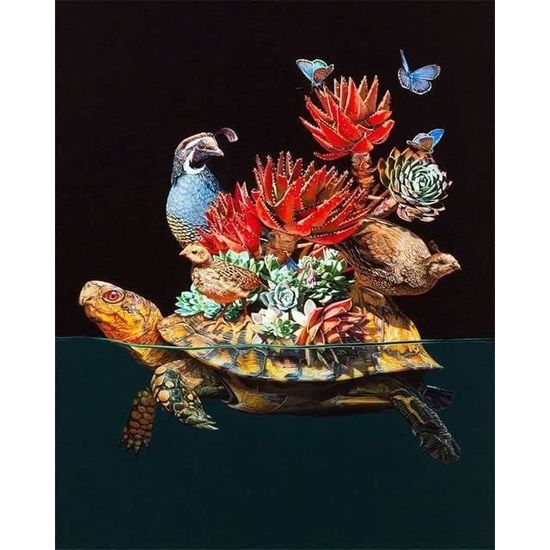 Tortue Peinture par numéros pour adultes débutants - Peinture à l'huile