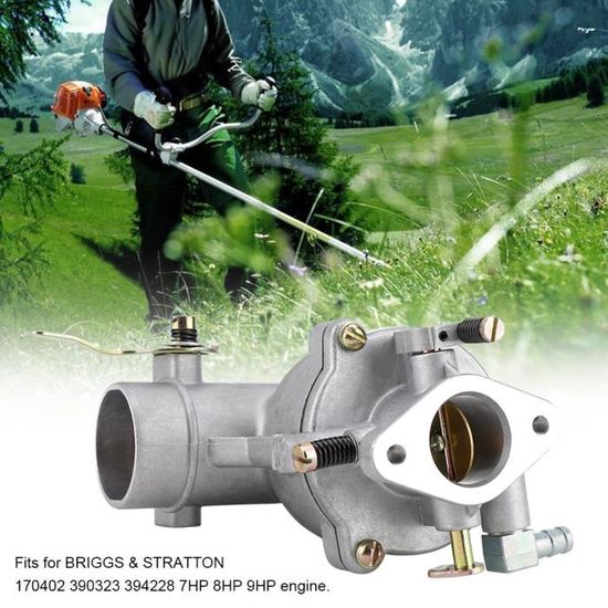 Bobina Di Accensione Per Briggs & Stratton 170402-170412 - Modulo Stato Solido - Nuova