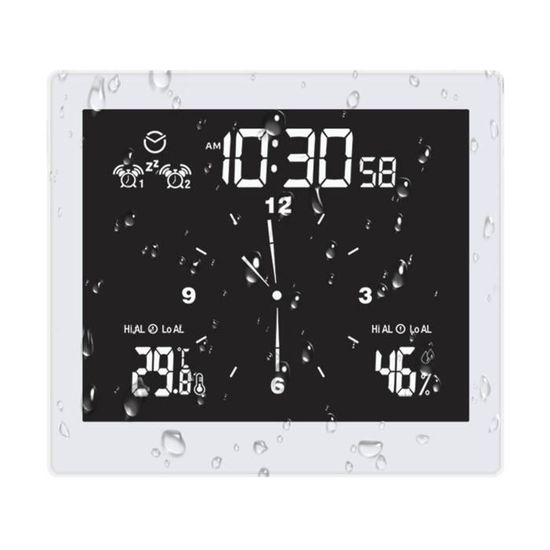 Thermomètre Minuteur Flottant Étanché Pour Bain De Glace & Douche – Affichage Clair & Alarme (Noir)