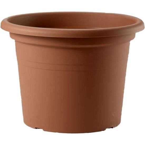 Mélange De 3 Azalées Japonaises Naines En Pot - Plantes Colorées Pour Jardin Ou Balcon