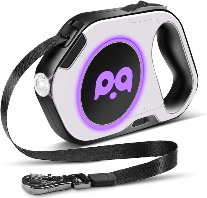 Meilleurs prix pour Laisse rétractable pour chien avec lampe de poche,Éclairage respiratoire RGB des deux côtés avec 12 couleurs exclusives(Blanc, 5m)
