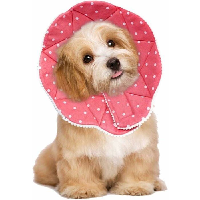 Meilleurs prix pour Collerette confortable de post-chirurgie pour chats et chiens, robuste, imperméable, résistante aux griffures et morsures, facil