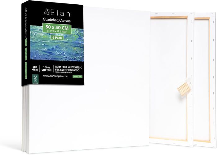 CANVAS TOILE PEINTURE, 6 Pièces Cadre Vierge Toiles à Peindre