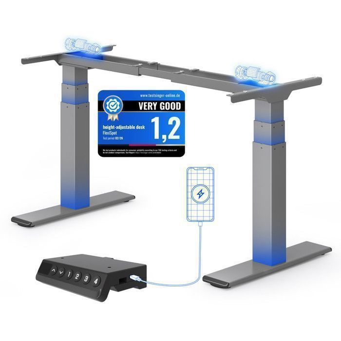 FlexiSpot Bureau Assis-Debout Électrique 200 kg Double Moteur Cadre 3 Sections avec USB-C/A Système Anti-Collision Gris