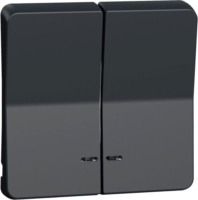 Schneider Electric Presa + Va E Vieni Verticale Mureva Styl - IP55 IK08, Grigio, Con LED Notte