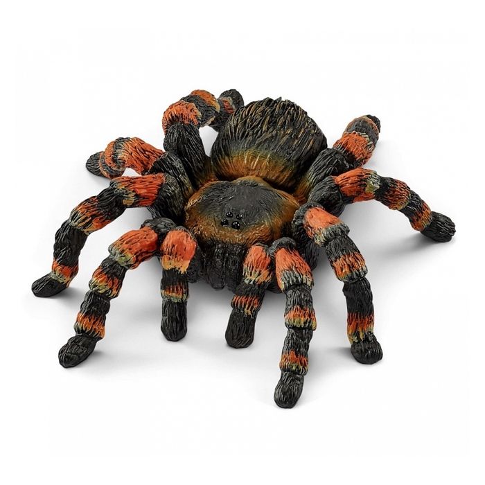 Mygale 14829 Une araignée fascinante et fascinante Neuf - vue 2