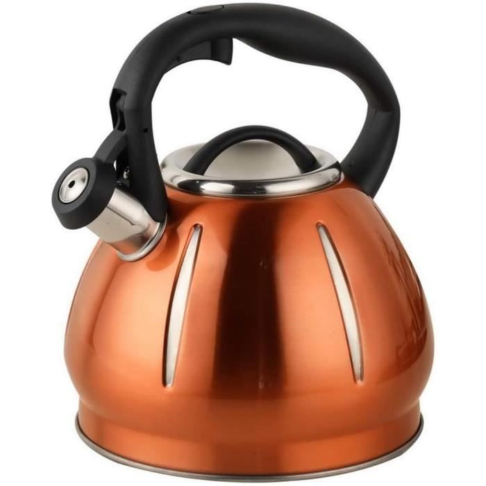 Bouilloire Camping Acier Inox 1L - Ultra-légère, Compatible Induction, Pour Randonnée