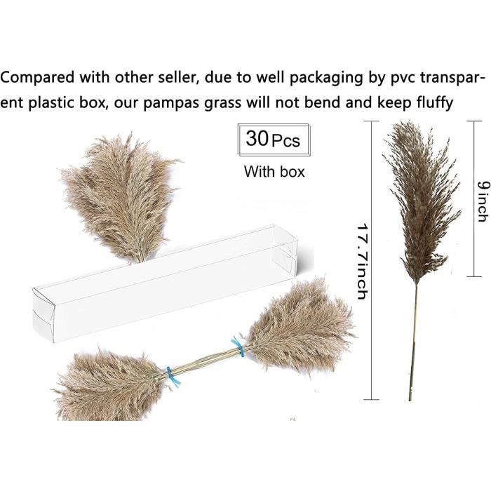 Lot De 14 Tiges Herbe De La Pampa Séchée 80 Cm - Bouquet Bohème Neutre Pour Décoration Murale, Table Et Vase De Sol