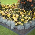 HENGMEI Bordure de pelouse - Bordure de jardin Bordure flexible en plastique - 20 m - Noir-2