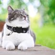6pcs Belle collier d'animaux de compagnie Collier chat de décor à col de-3