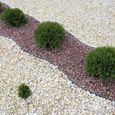 HENGMEI Bordure de pelouse - Bordure de jardin Bordure flexible en plastique - 20 m - Noir-3