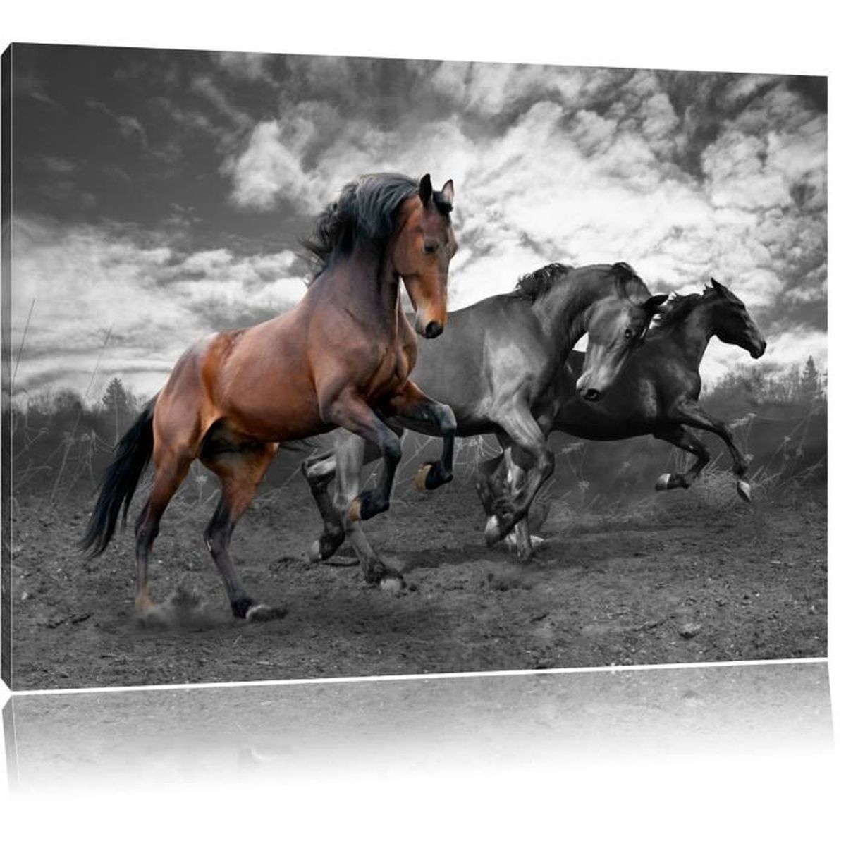 Toile Imprime Belles Chevaux Sauvages Noir Blanc Completement Encadrees Avec Civiere Wall Art Print Sur Le Cadreformat 1x80cm Cdiscount Maison Toile Imprime Belles Chevaux Sauvages Noir Blanc Completement Encadrees Avec Civiere Wall Art Print Sur Le Cadreformat 1x80cm Cdiscount Maison