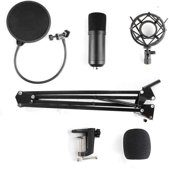 Microphone USB Diealles Shine - 192KHz/24Bit, Bras Réglable, Filtre Anti-Pop - Streaming