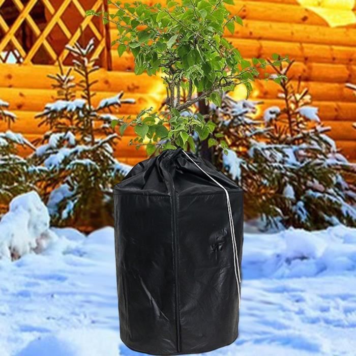 Housse d'hivernage 200x240 cm pour arbustes et plantes