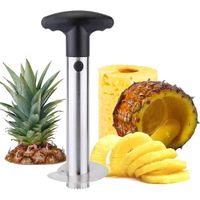 Épluche-ananas,  Coupe-ananas en acier inoxydable, Outil facile à éplucher et à retirer avec poignée amovible