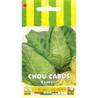 Sachet de  Chou cabus Express (pointu) - 3 g - légume feuille - LES GRAINES BOCQUET