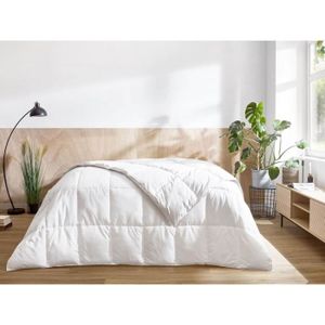 Couette ete 240x260 duvet plume - Achat / Vente pas cher