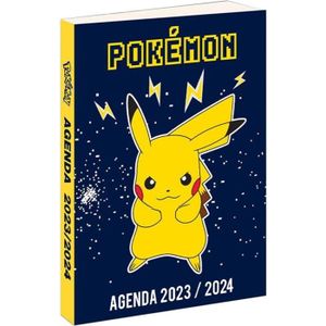Agenda 2022 2023 stitch - Cdiscount