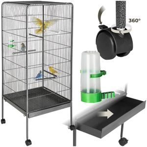 Oiseaux Cage Et Voliere