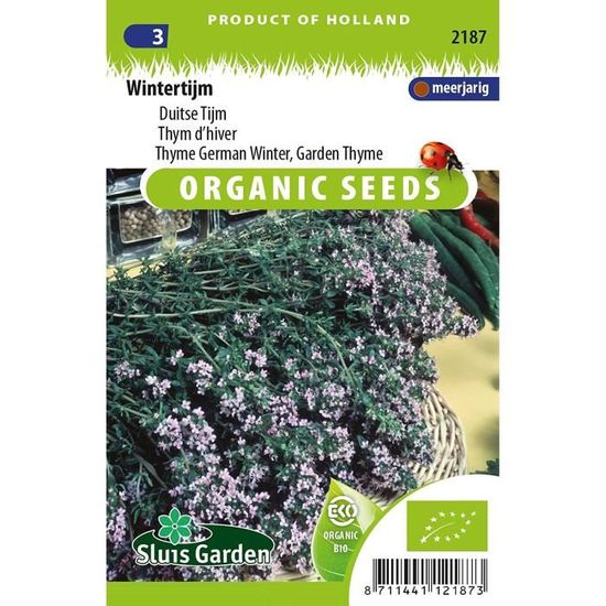 Graines Thym D'hiver Bio - Thymus Vulgaris