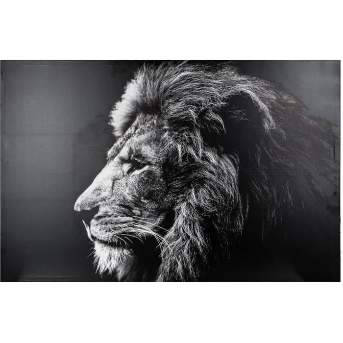 Jin Yi Global Toile Peinture Noir et Blanc Lion Animaux Décoration pour Chambre Salon   Maison Mur Photos Décor Oeuvre 40x60 cm 15.7x23.6 Pas de Cadre