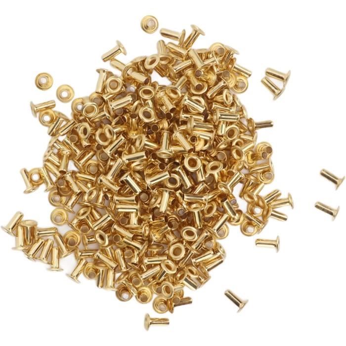 Lot De 10 Rivets Chicago à Visser Pour La Maroquinerie