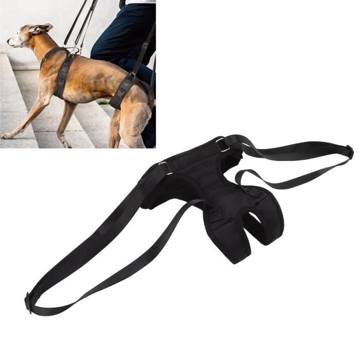 SURENHAP Harnais de soutien pour chien Harnais de soutien pour jambe arrière pour chien Gilet de rééducation animalerie soin