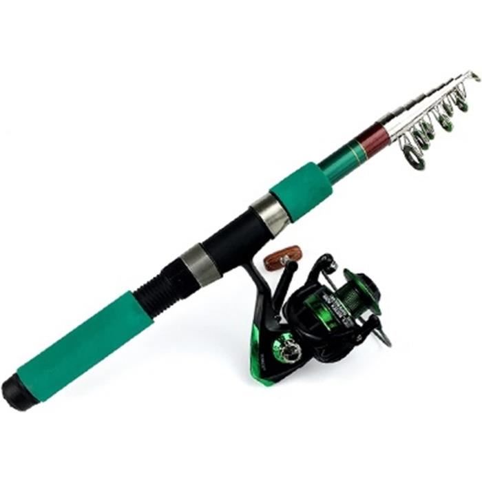 Canne À Pêche Professionnelle Mini Canne À Pêche Télescopique Courte Canne De Voyage Avec