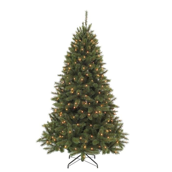 Triumph Tree Sapin de Noël artificiel LED Bristlecone Fir Taille en CM: 155 x 99 Vert foncé 144 lumières