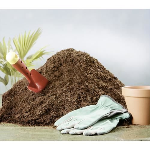 Terre De Noix De Coco 650g Achat Vente Terreau Sable Terre De Noix De Coco 650g Cdiscount