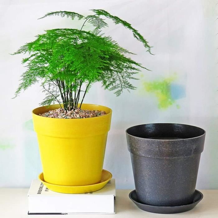 Pot en fibre pour grand bonsai - Cdiscount