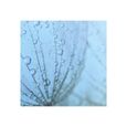 Sigel Drops - Sous-main - 30 feuilles - 595 x 410 mm - daté-2