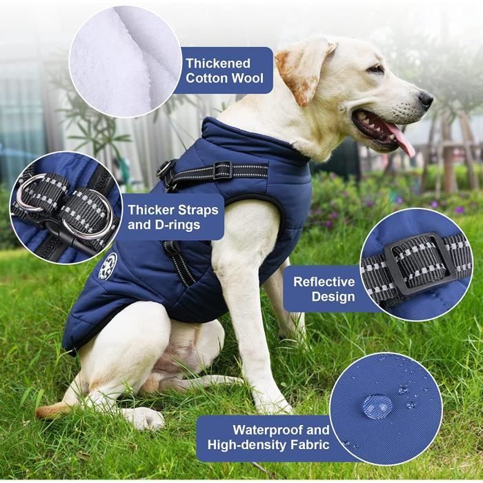 Harnais veste chien discount