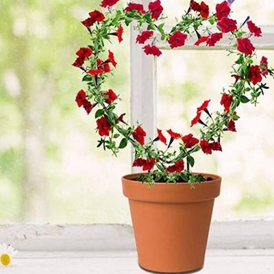 2PCS Treillis De Jardin En Métal Pour Lescalade De Plantes, Support Pour Plante De Vigne, Treillis De Jardin Pour Plantes En Forme De Coeur, Pour Plantes Grimpantes Et Fleur