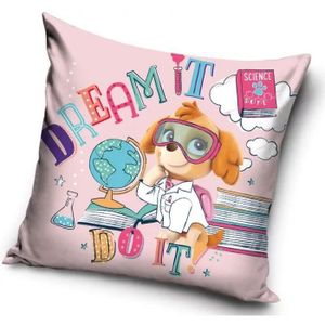 Taie D'oreiller Pat Patrouille 40x40 Cm - Housse Imprimée Pour Enfant, 100% Polyester, Fermeture éclair