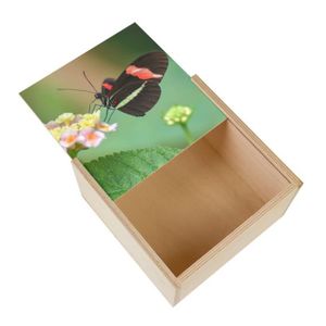Boîte cadeau Boite Coffret en Bois - Papillon Noir Rouge et Vert Anis sur Fleurs Jaunes et Roses Nature Animaux  (11 x 11 x 3,5 cm)