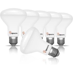 AMPOULE - LED Lot de 6 ampoules à réflecteur LED R80 E27 12 W bl