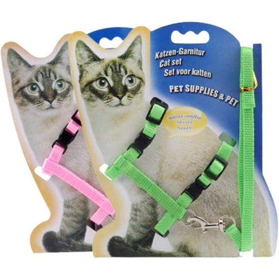 Ensemble Harnais Et Laisse Pour Chat Anti-évasion, Harnais