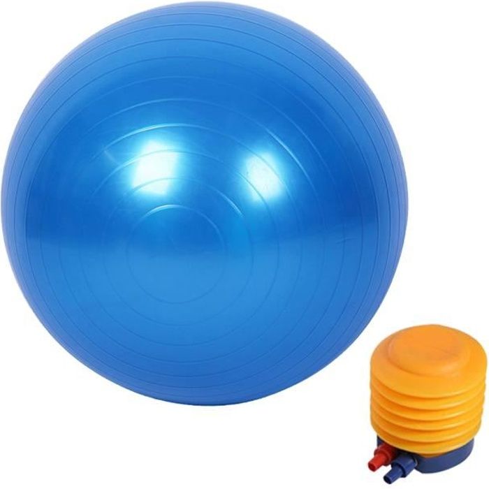 Boule de Yoga Ballon de Gym Ballon de Fitness avec un gonfleur 55 cm Bleu