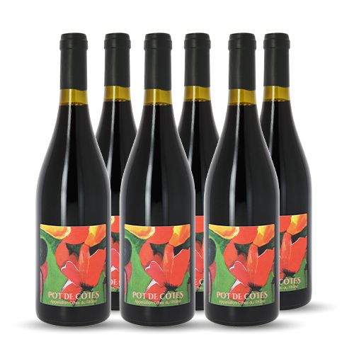 Pot de Côte Côtes du Rhône Rouge 2019 6x75cl