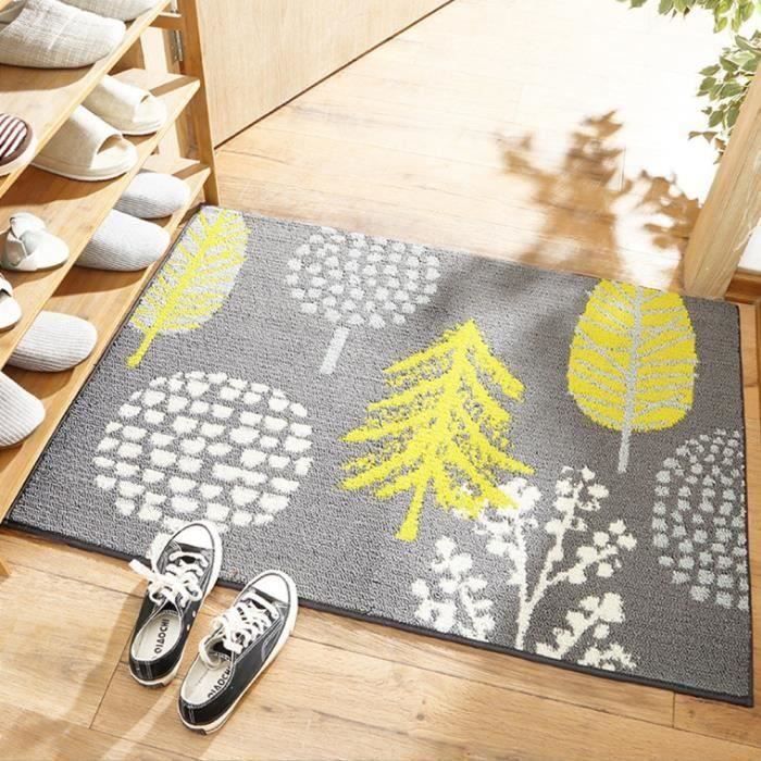Tapis de sol d'entrée antidérapant lavable (60x90cm) COS19954
