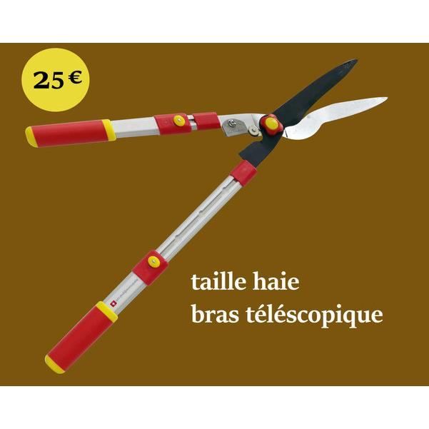 Taille Haie Bras Téléscopique