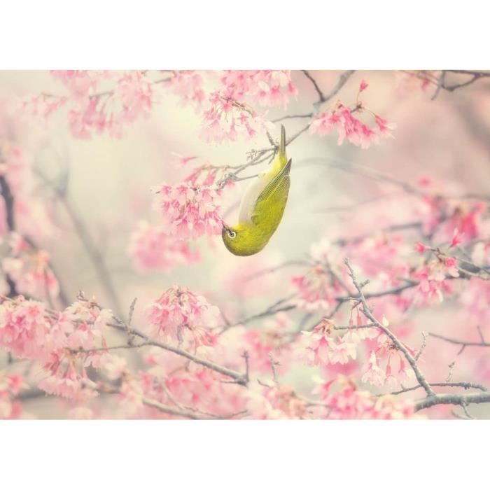 Poster En Métal Monté Sur Aimant World Class Photos Japan