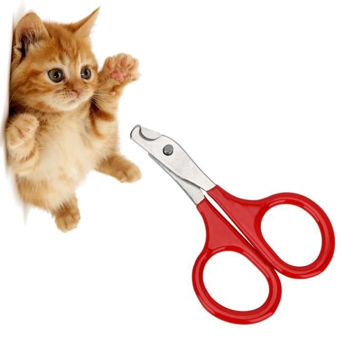 Coupe Ongles Griffes Tondeuses A Griffes Ciseaux De Toilettage Chat Outils De Nettoyage Ciseaux A Type Rouge Stainless Steel Cdiscount Coupe Ongles Griffes Tondeuses A Griffes Ciseaux De Toilettage Chat Outils De Nettoyage Ciseaux A Type Rouge Stainless Steel Cdiscount